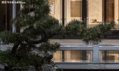 连系“免费户型解析”吸引业从；无效沟通削减